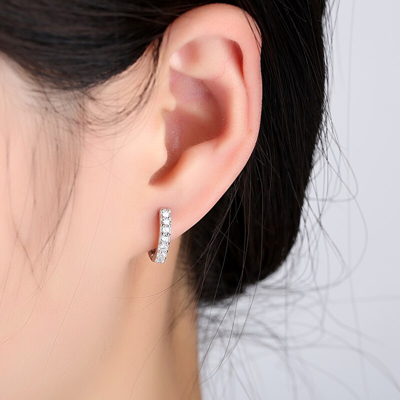Iced Out Hoop Earrings